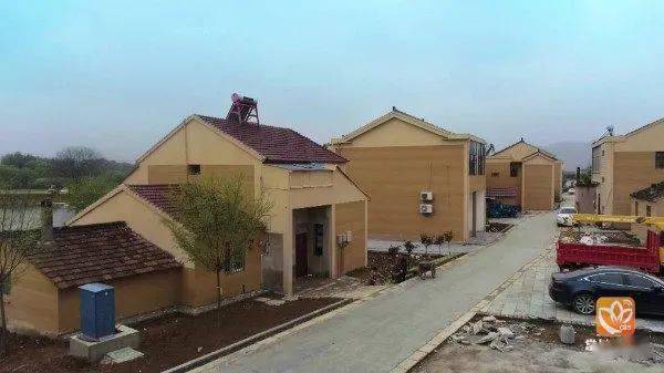 乡村振兴书记说厚植生态基因绘就美丽社渚