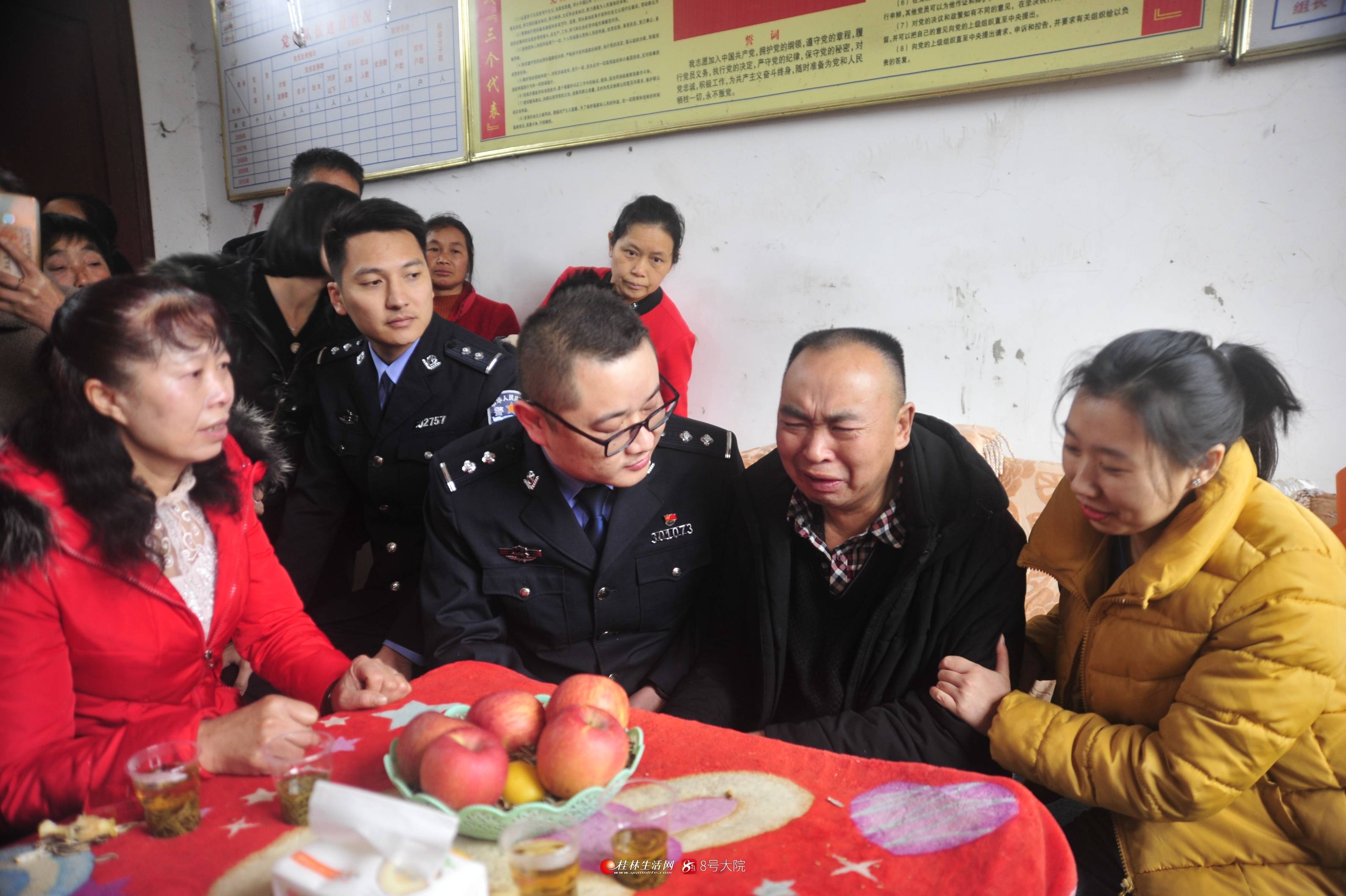 和平桥陆燕图片