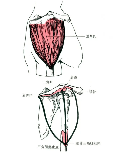c8c03444a053435aae63a48c9d6d3d9f.png