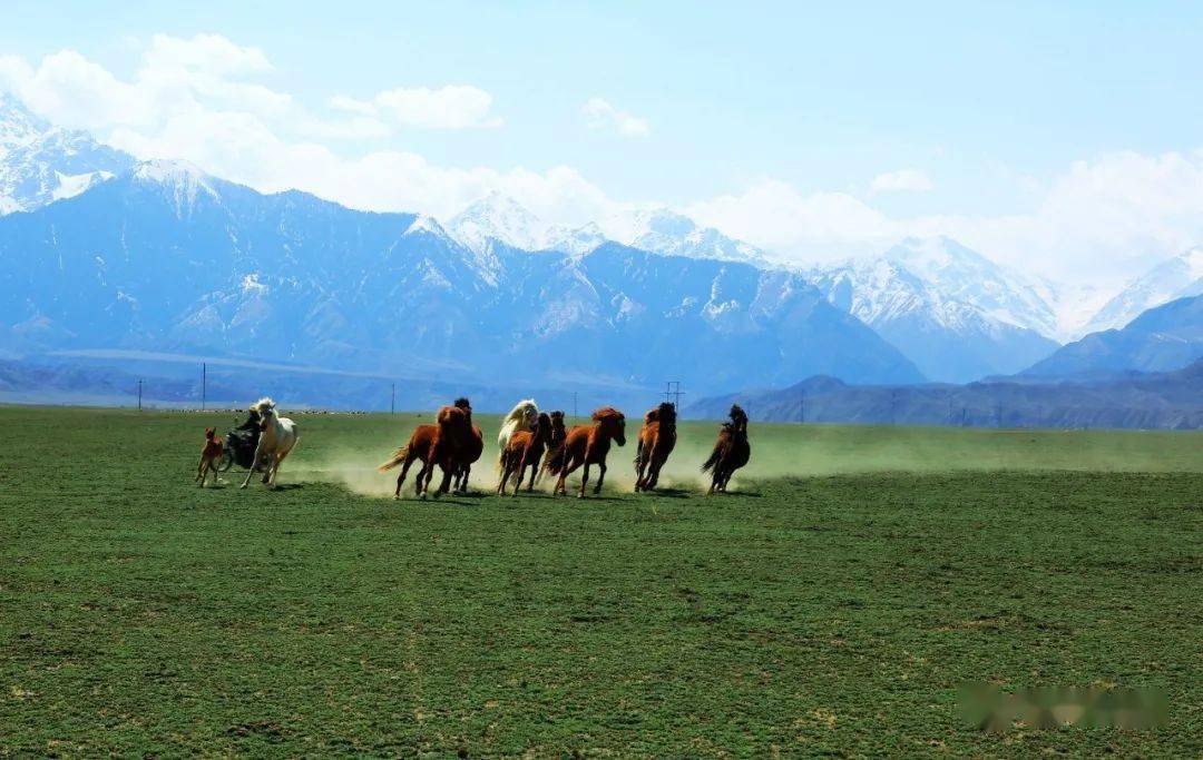 [图说乌苏] 奔马踏春