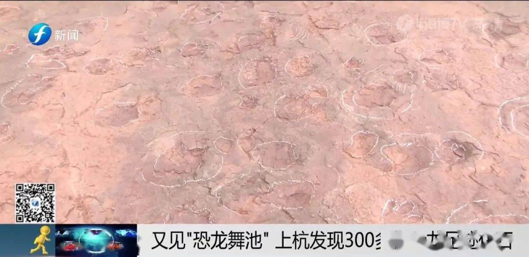 化石|“恐龙舞池”！福建又发现300多枚恐龙足迹化石