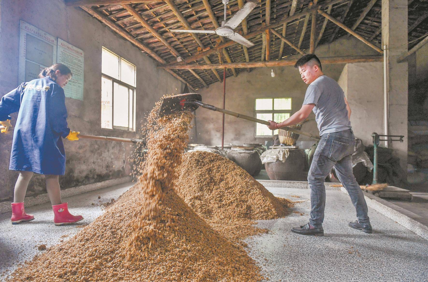 柯进和爷爷准备酒曲