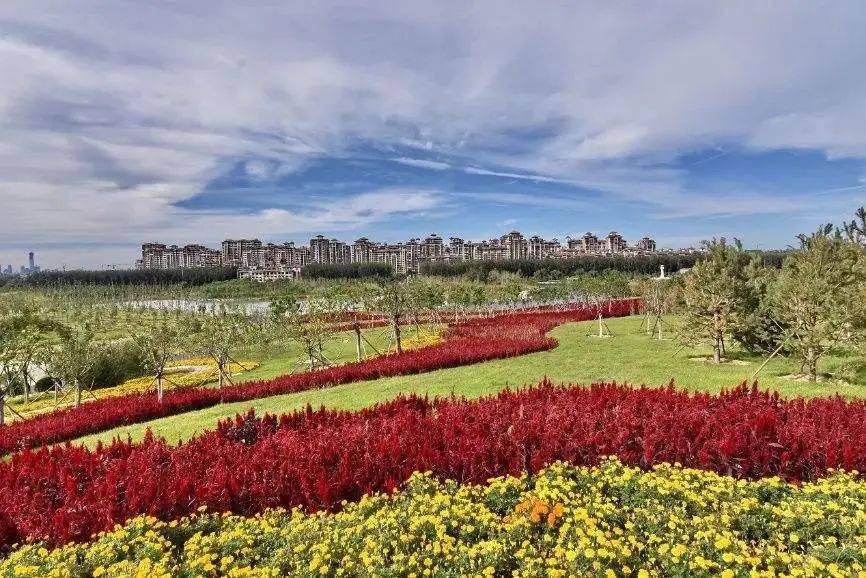 这里是京城东南近郊的一道美丽风景， 您最适宜赏春的小众湿地公园！