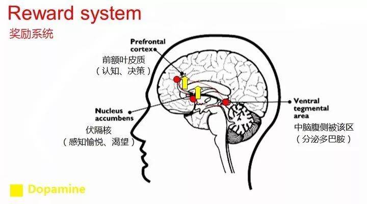 产奶量|为什么你会那么喜欢听歌？好嗨哟