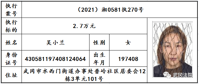 湖南邵阳人口流出_湖南邵阳(3)