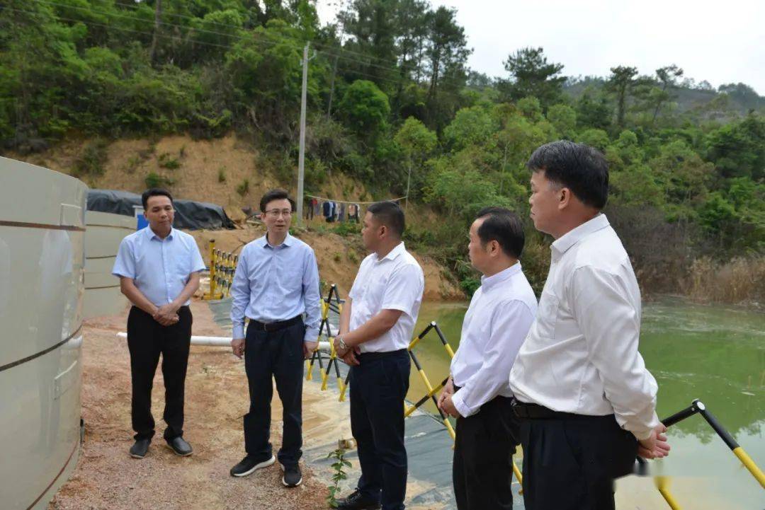 黄中贤到岑溪调研中央巡视广西反馈意见整改工作