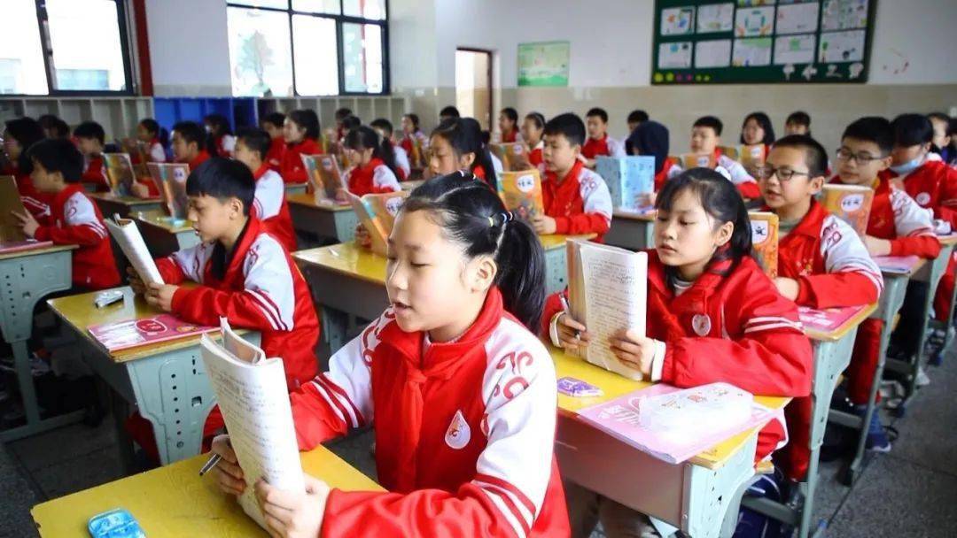 湖南卫视新闻联播郴州一所袖珍学校的蜕变