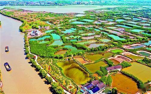 桑基鱼塘 美如画(图)