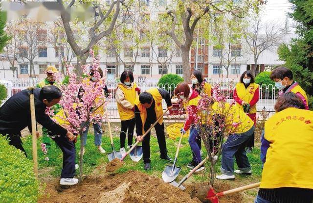 物業公司共1200餘人在沿線各公園及公共綠地開展義務植樹活動