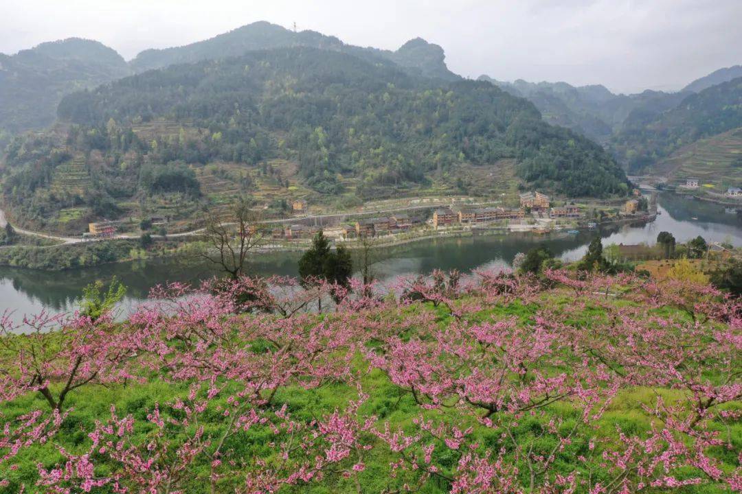 余庆坊·河滨来到白泥镇哨溪村河滨村民组,山连水,水绕山,青山倒映于