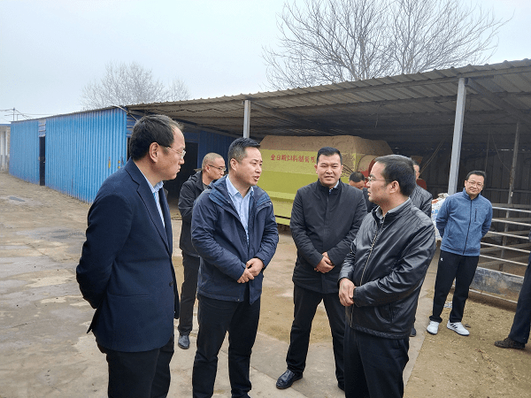 市委政研室副主任南克深入白马铺镇调研政策性农业保险发展情况