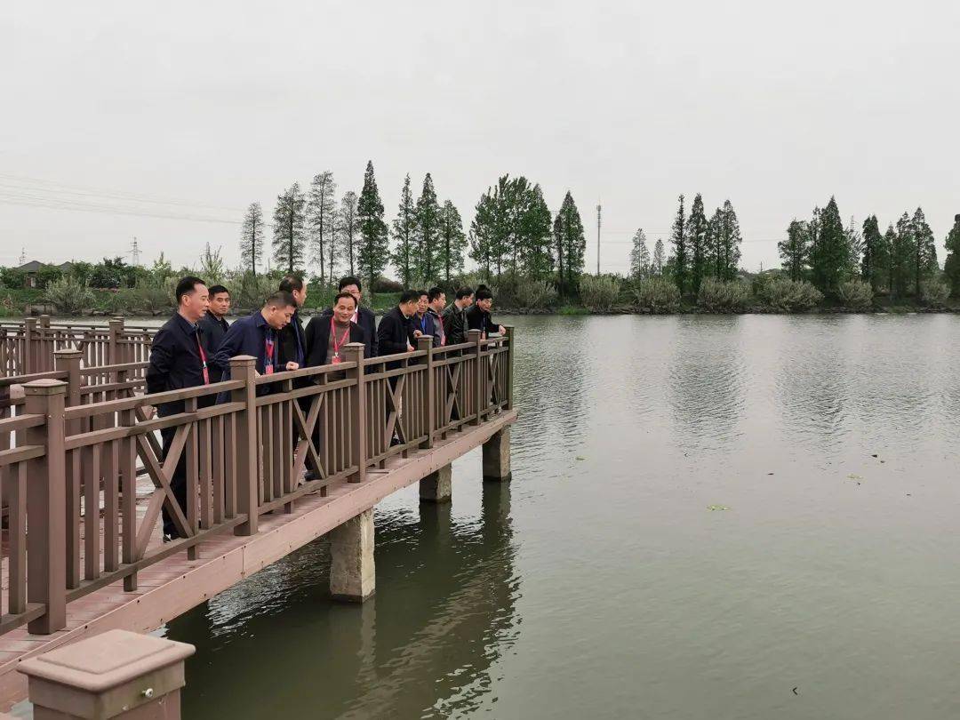 镇街人大 | 新市镇人大 :人大代表化身美丽乡村大"侦探"