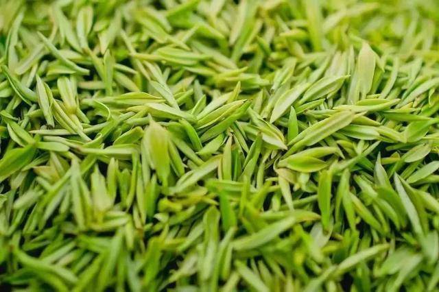 你喝了吗?安康富硒茶获评"最具品牌经营力"!「959关注」_茶叶