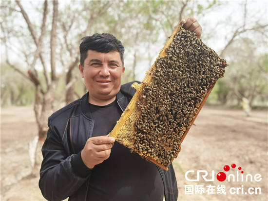 阿瓦古丽曲谱_阿瓦古丽图片