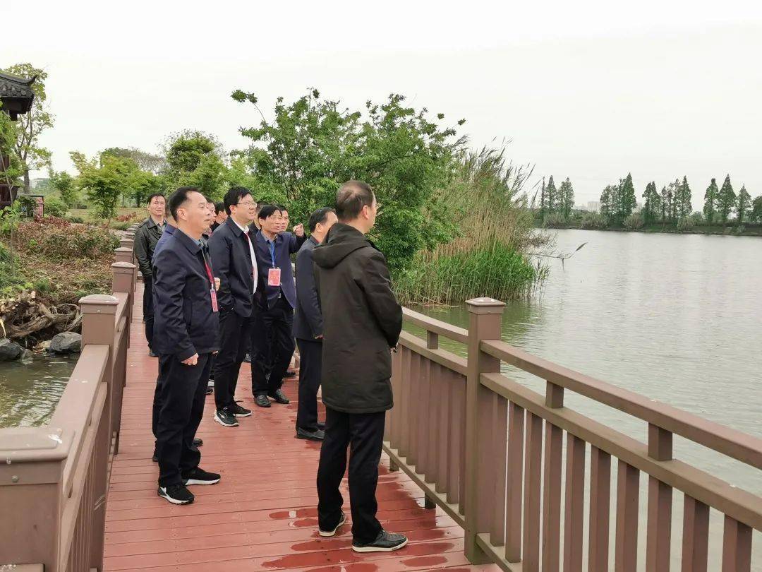 镇街人大 | 新市镇人大 :人大代表化身美丽乡村大"侦探"