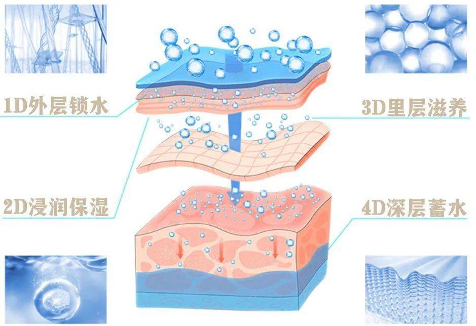 它家专有的"透皮肽"的加持,再经过优化配比,促进肌肤加速生成胶原蛋白