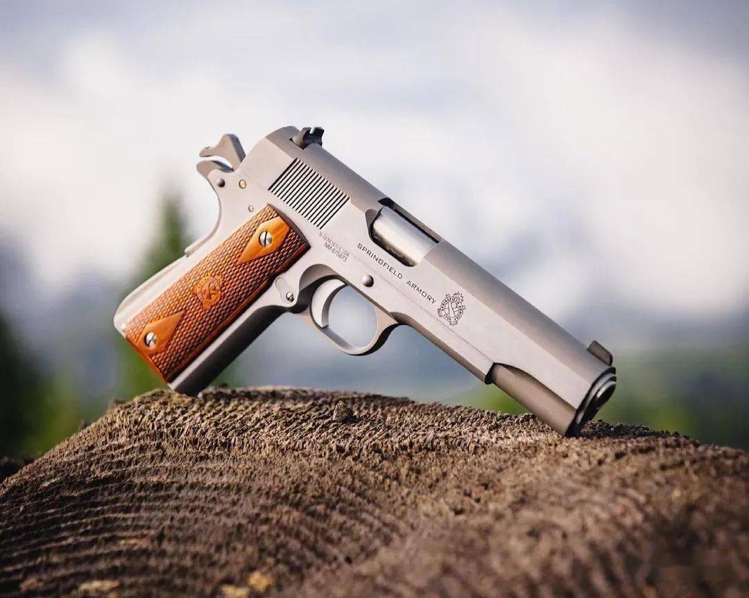 有多少爱可以重来springfieldarmory枪械美图欣赏