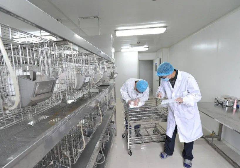 spf级动物实验室设有spf级/清洁级动物设施,染毒室,细胞室,细菌室