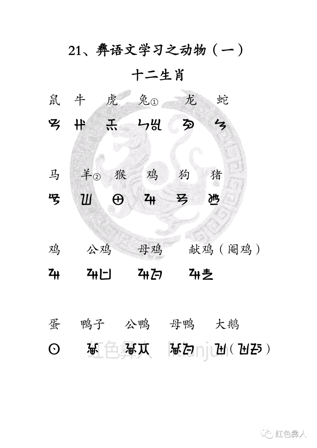 21,彝语文学习之动物(一)十二生肖
