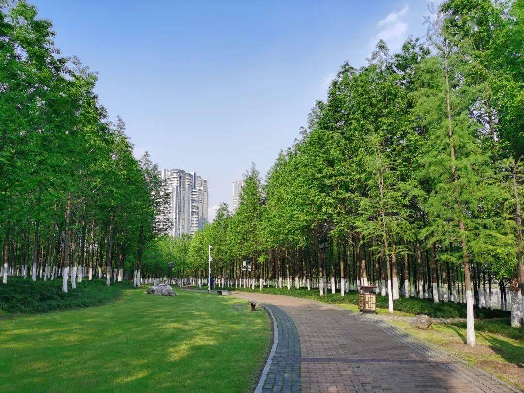 周末出游,来武昌这样玩!_沙湖公园