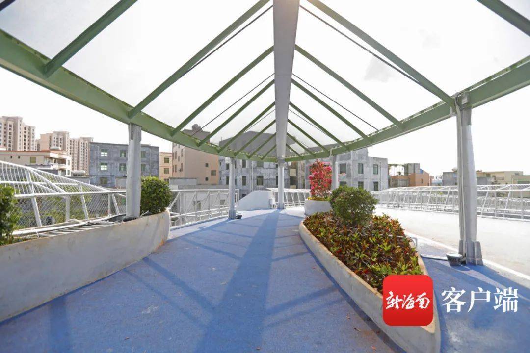 电动车可通行海口龙昆南延长线2座天桥巨浪飞鱼正式使用造型太酷啦