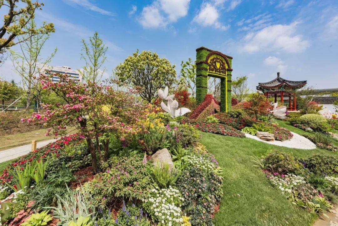 常州再次惊艳你我!_凤凰公园