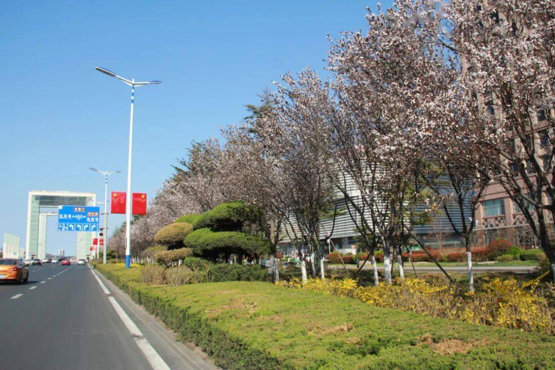 海源公園東山賓館東山路海濱路海港公園菊花頂路昆明路青島路三角花園