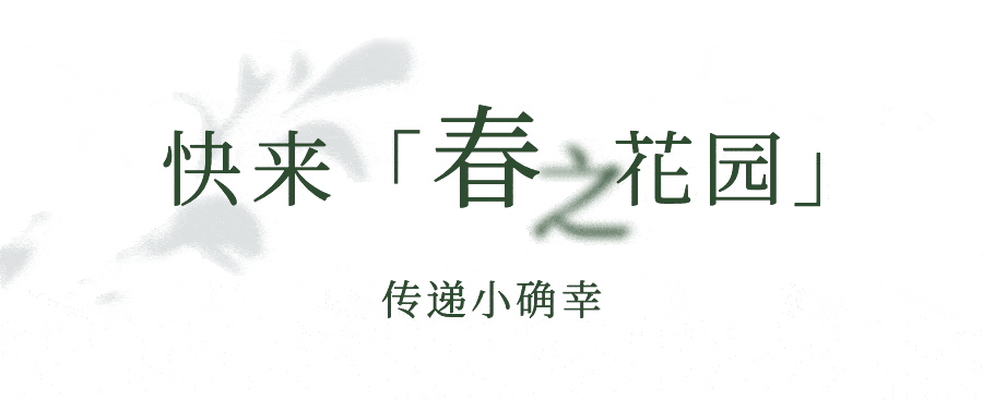 ����ű�����֮��԰���ս�����Frivoleϵ�������ݻ�������