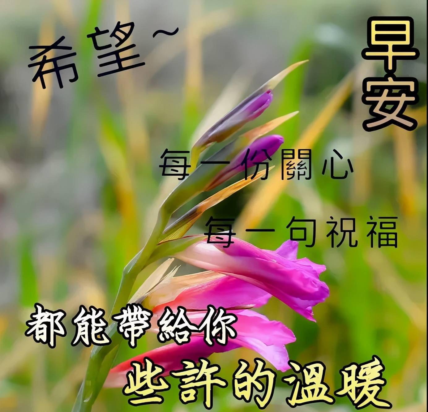 161b28bdbb7744d68df620cc413e872c.jpeg