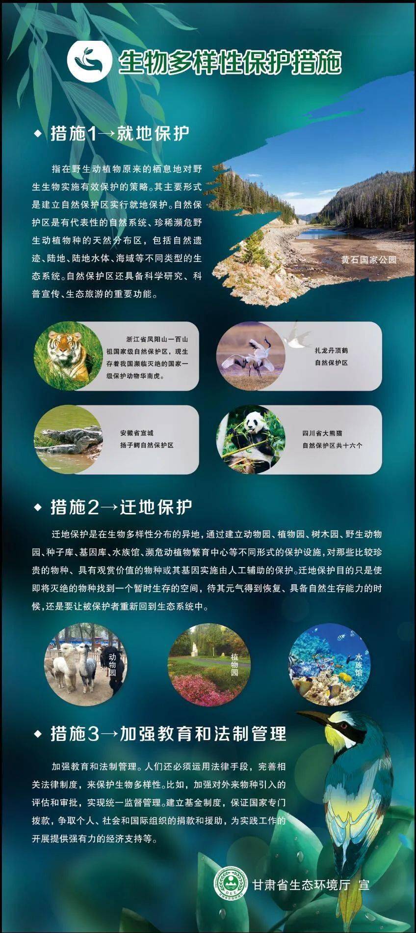 保护生物多样性生物多样性