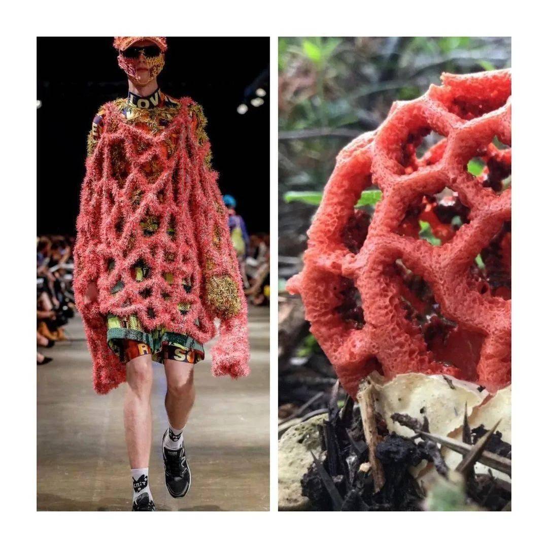 国际一线服装大牌公然抄袭证据确凿相似度高达99