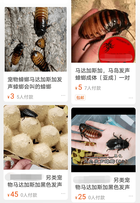 c40405d20d0f45d0a4c99d81134964ec.png