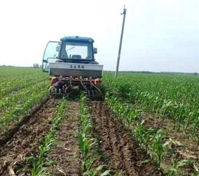 恩达苗期深松机保护性耕作丰产标配