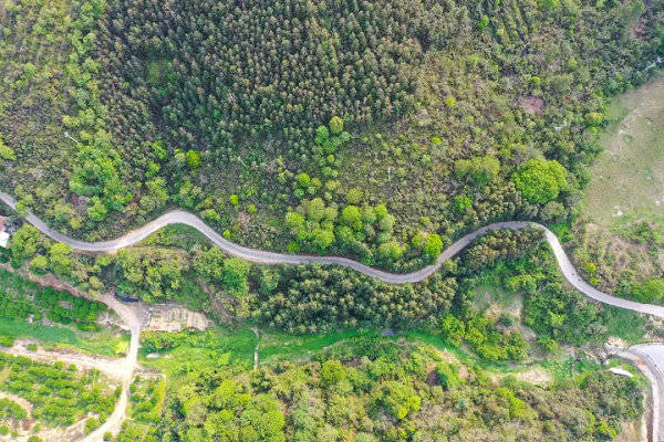 公路便道施工方案“大谈带幼径”这条高快施工便谈变身“致富谈”(2)