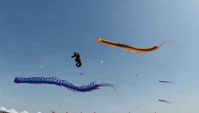 00,芝罘区滨海广场现场20个区域礼包同步发放,凭"活动参与券"领取风筝