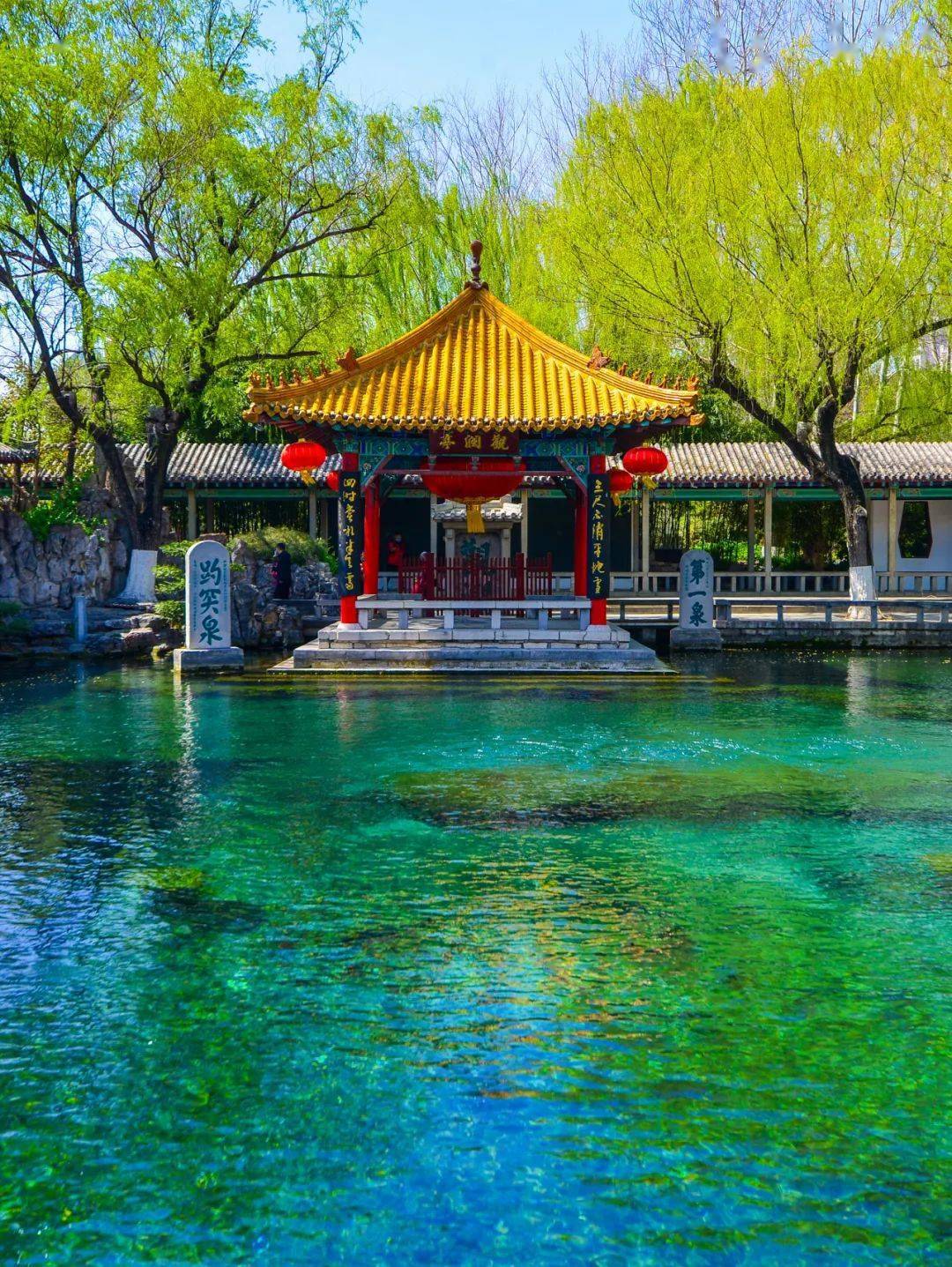 济南的春天是美的,美的让人心醉.