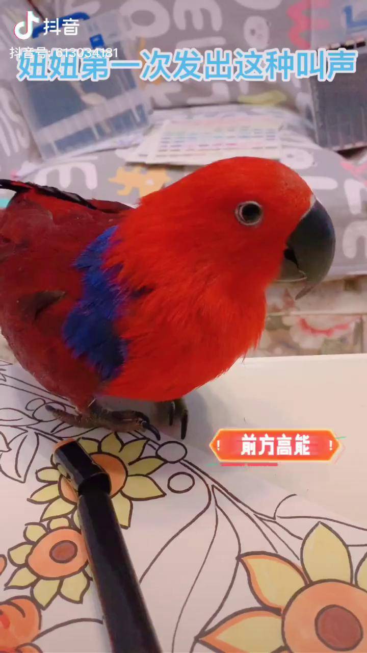 本以为妞妞病了原来是嘿嘿以后有好好吃喽