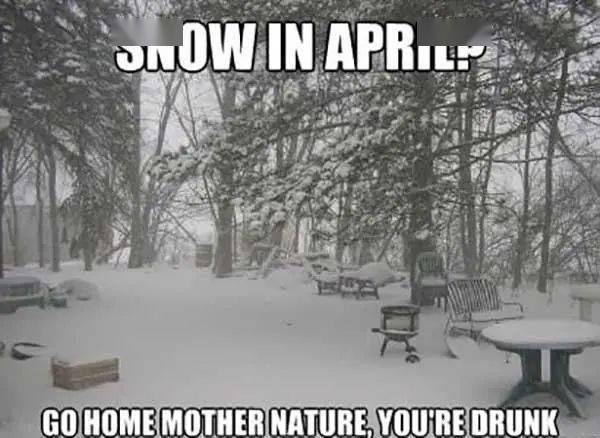 April weather是什么意思?难道是四月的