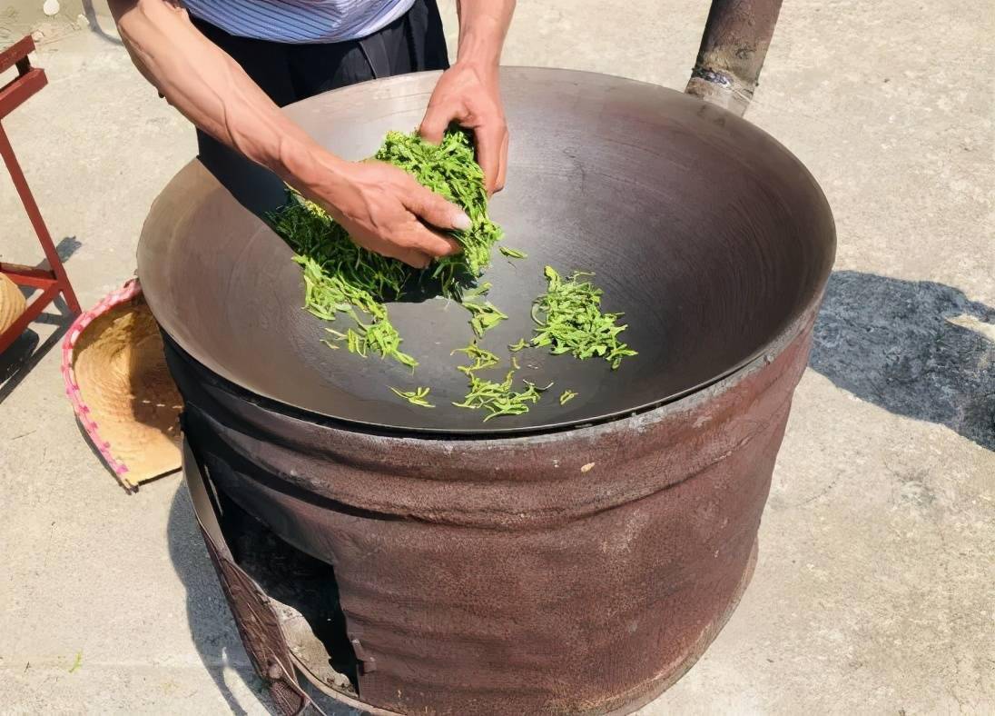 春遊江淮請您來春意黯然楊家寨景區邀你來踏青採茶