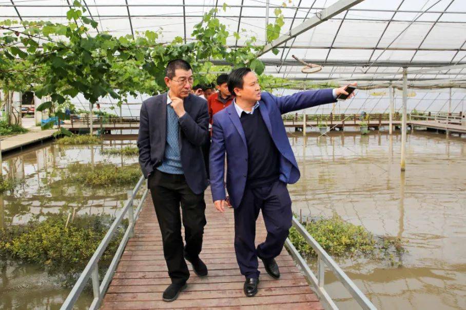 【商会】 金山:红色引领 沪商传承 活力青春放飞上海湾区