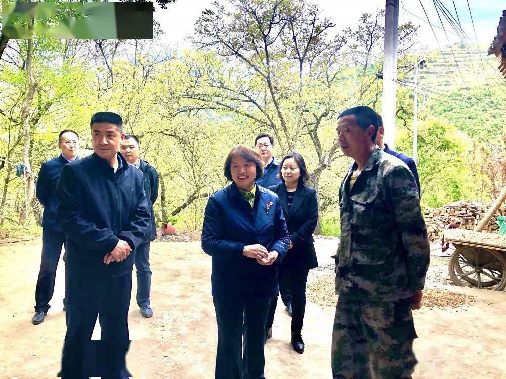 汉中市政府副市长,留坝县委书记许秋雯到江口,玉皇庙,武关驿镇调研