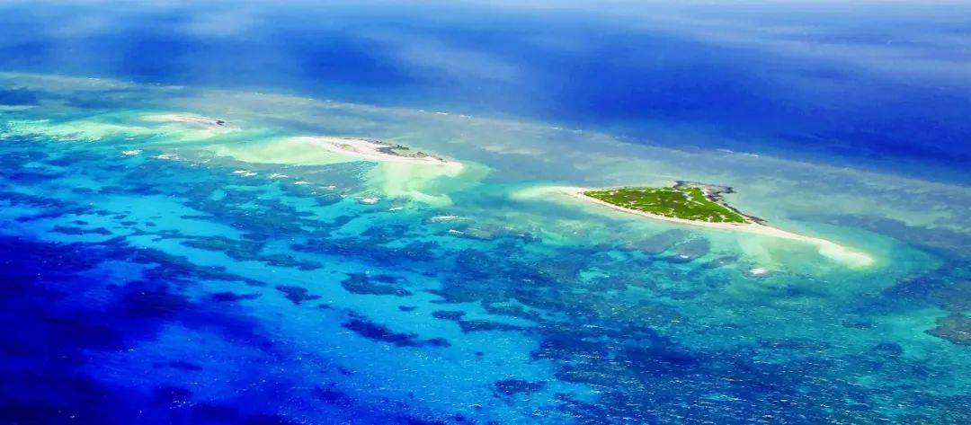 南沙群岛位于中国南海,属于热带亚热带海域,常年保持在较高温度,且