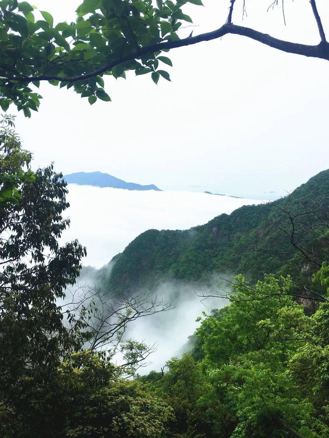 禹航戶外425徒步畫裡靈溪探訪隱藏在安吉大山深處的美景