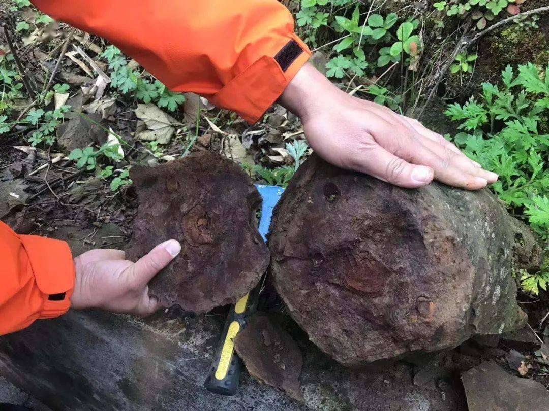 6亿年前峨眉山玄武岩