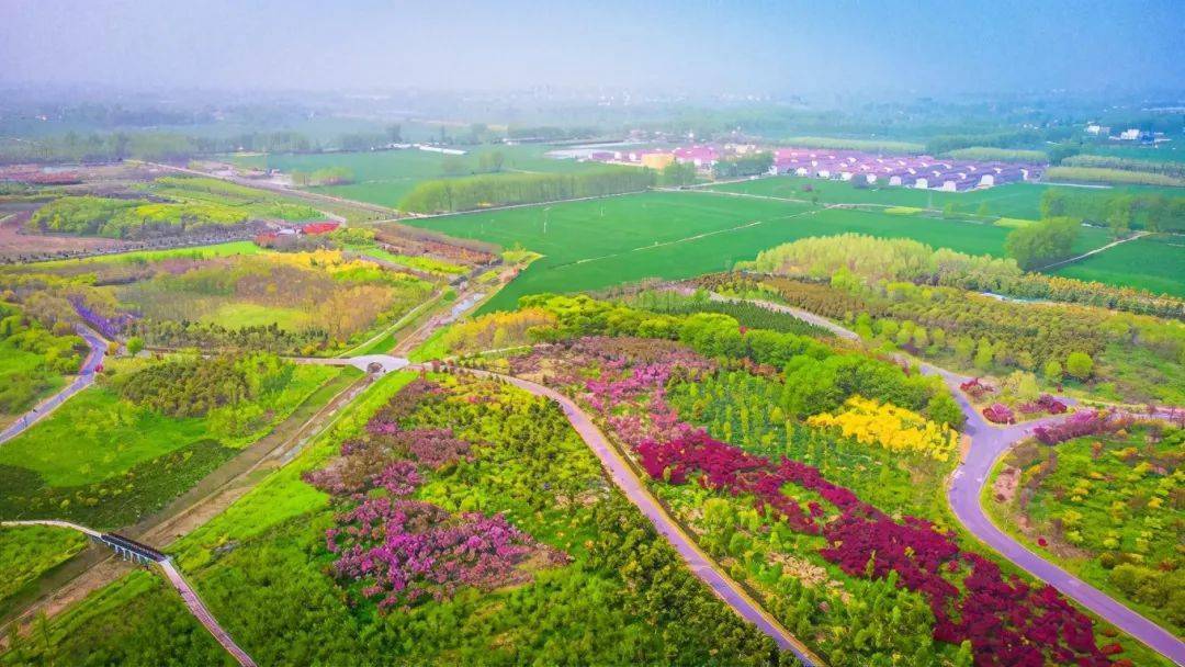 惊艳宿州植物园航拍高清组图流出