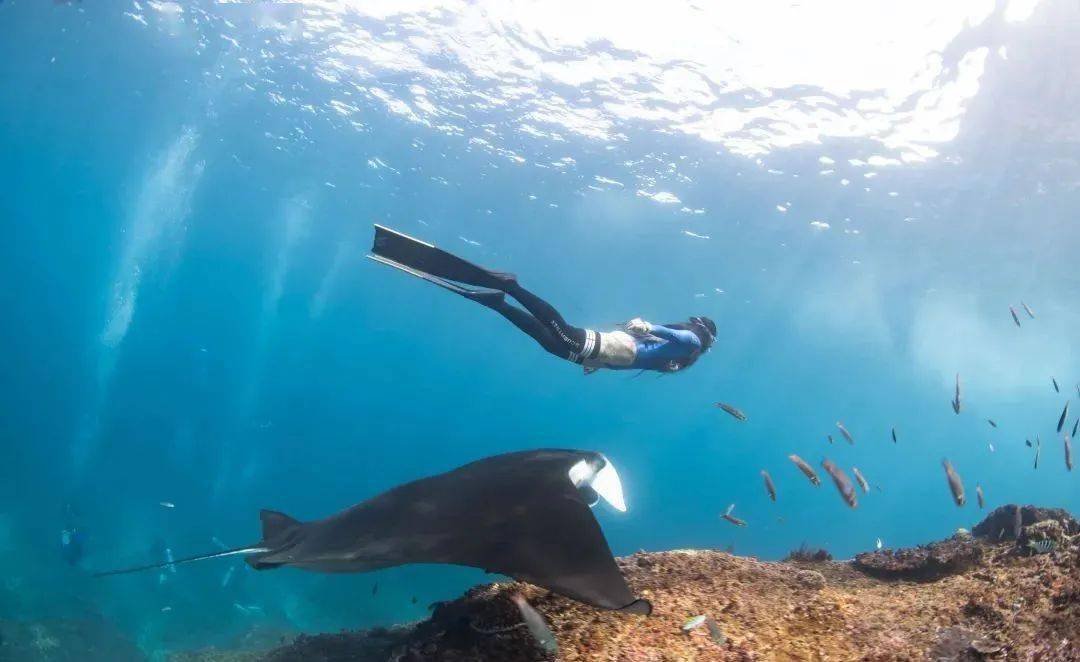 13个自由潜水的放松小技巧,帮你更好地发挥"潜"力(上)