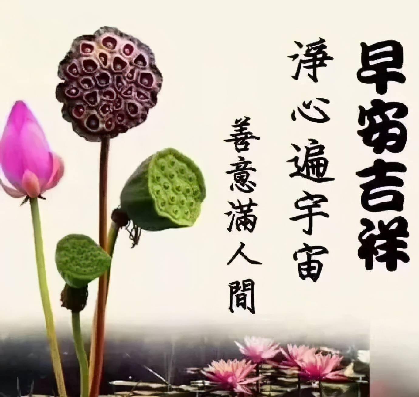 问候语简谱_早上好问候语图片