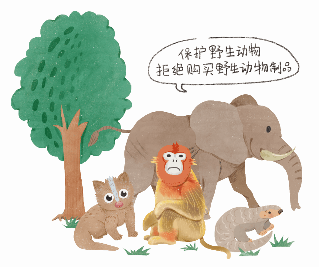 爱国卫生月 | 一起开启健康的生活方式