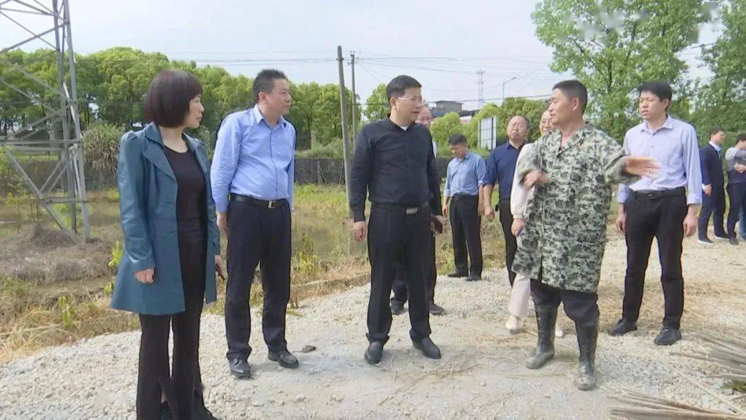 李晓楚调研农业农村及督导中央环保督察反馈问题整改工作