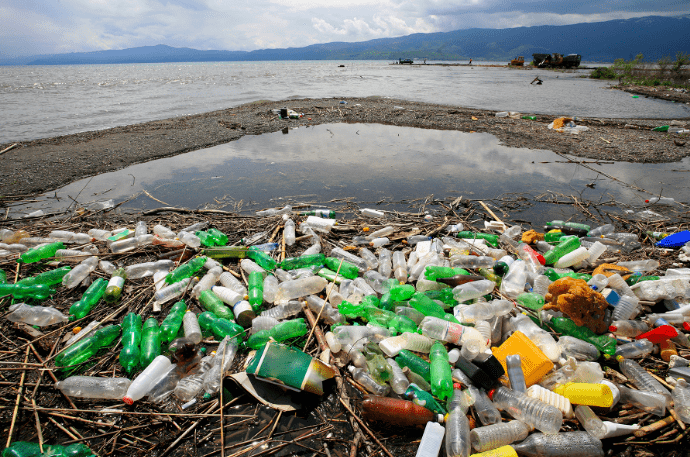 世界地球日丨让我们为地球动得更有意义